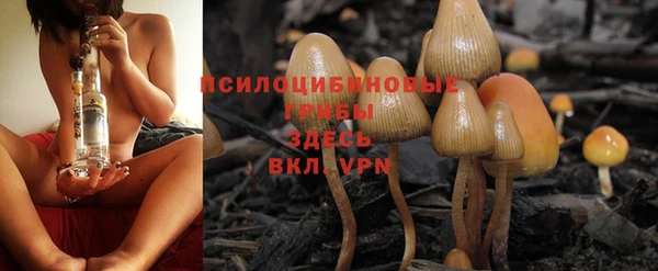 мяу мяу кристалл Новокубанск