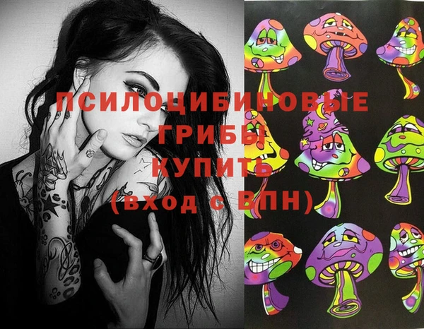амф Няндома