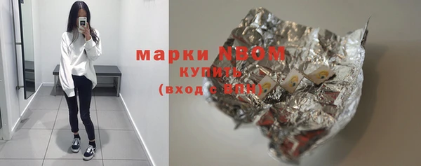 амф Няндома
