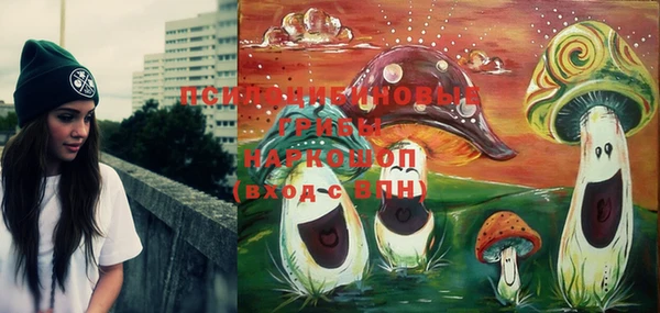 PSILOCYBIN Нягань