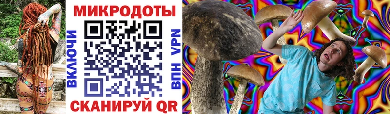 что такое   Байкальск  Галлюциногенные грибы Psilocybe 